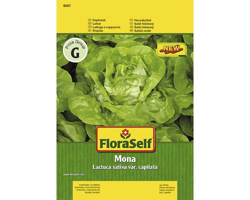 Hlávkový salát 'Mona' FloraSelf-0