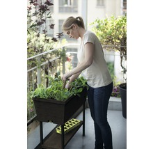 Žena zahradničí ve vyvýšeném záhonu na balkoně.