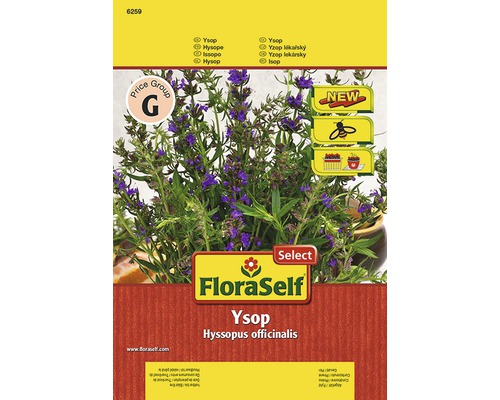 Balíček semen yzopu FloraSelf s rostlinou a informacemi