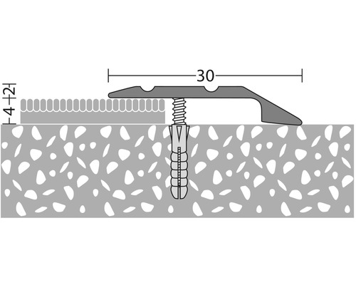Ilustrace přechodového profilu se šroubem a hmoždinkou pro montáž.