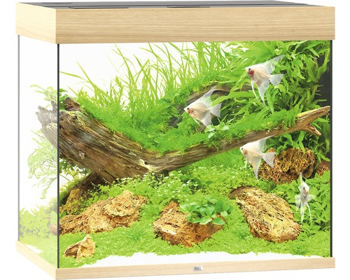 Akvárium s rostlinami, kameny a rybami