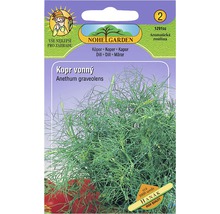 Balíček semen kopru