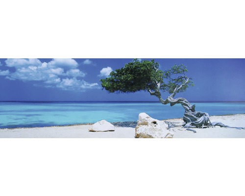 Panoramatický snímek pláže se stromem Divi-Divi a výhledem na moře