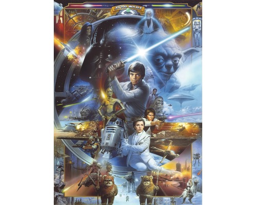 Fototapeta papírová 4-441 Disney Edition 2 Star Wars Luke Skywalker 4-dílná 184x254 cm