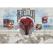 Betonová stěna s motivy graffiti Star Wars a textem Join the Rebellion.
