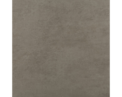 Dlažba VIENE taupe 60x60 cm