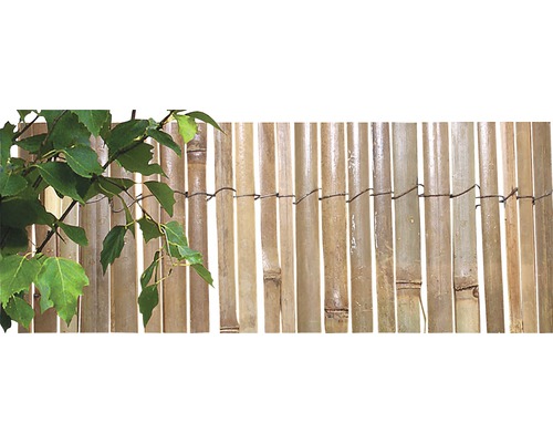 Bambusovy Plot (bambusového plotu, bambusový plot, Instalace bambusového, Instalace bambusového plotu, bambus speciálním, bambus speciálním olejem) Bambusovy Plot