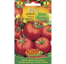 Balení semen tyčkových rajčat odrůdy Sláva Porýní