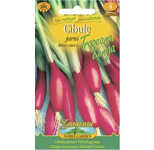 Balíček semen jarní cibule Tropeana Lunga