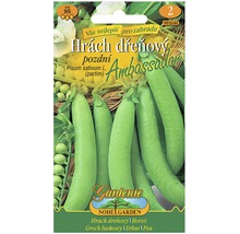 Balení semen dřeňového hrachu Ambassador