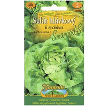Balíček semen hlávkového salátu Smaragd S