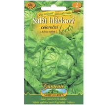 Balení semen hlávkového salátu