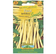 Balíček semen keříčkových fazolí Sonesta