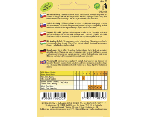 Měsíček lékařský jednoletá bylina 50 cm vysoká