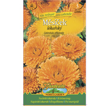 Měsíček lékařský Calendula officinalis balení semen