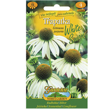 Balení semen Třapatka nachová White Swan