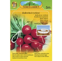 Pásek semen ředkvičky, délka 5 metrů