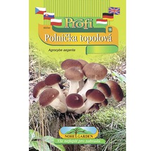 Sada pro pěstování hlívy ústřičné na obalu