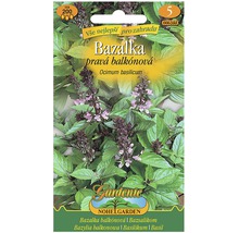 Balíček semen bazalky pro balkonové rostliny