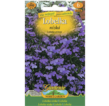 Balení semen Lobelka