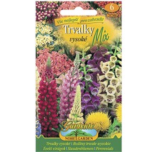 Balíček semen pro směs vysokých trvalek