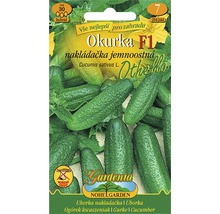 Balení semen okurek odrůdy Okurka F1