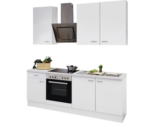 Vestavěná kuchyně s dřezem, varnou deskou, troubou, digestoří a skříňkami