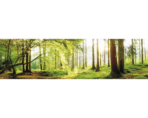 Samolepící PVC tapeta do kuchyně mySPOTTI splash Les 60x220 cm Lesní scéna se stromy a slunečním světlem