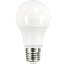 LED žárovka s paticí E27