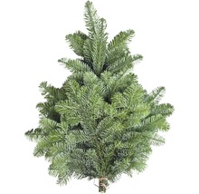 Jedle kavkazská pro vlastní dekoraci