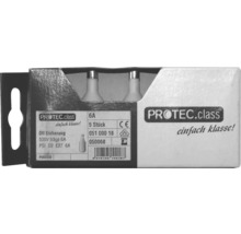 PROTEC.class pojistka DII 6 ampér, balení 5 kusů