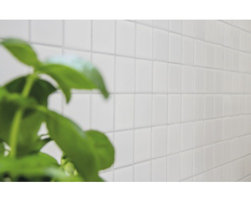 Obkládačky se zelenou rostlinou v popředí