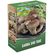 Sada pro pěstování houby Shiitake