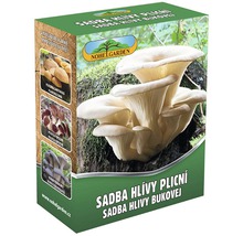 Sadba hlívy plicní Nohelgarden