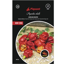 Paprička chilli CAROLINA REAPER