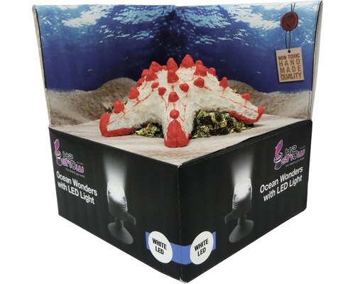 Dekorace H2 Show Ocean s LED světlem v balení