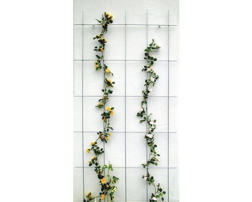 Mříž na popínavé rostliny 75 x 150 cm pozink vroubkovaná