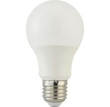 LED žárovka s paticí E27