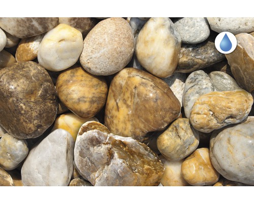 Detailní záběr okrasných oblázků