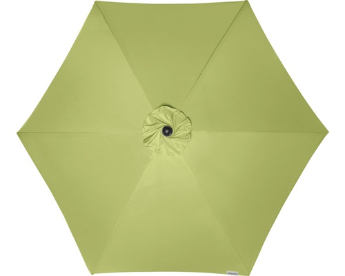 Pohled shora na slunečník