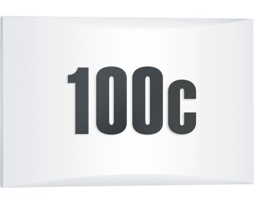 Symbol pro 100 centů