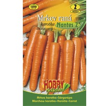 Semena mrkve odrůdy Nantes 2
