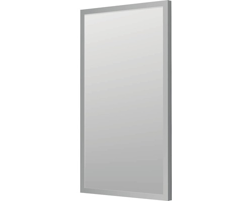 Zrcadlo do koupelny Intedoor 40 x 70 cm v stříbrném rámu AL ZS 40