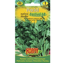 Semena petržele Festival 68