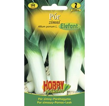 Balení semen zimního pórku