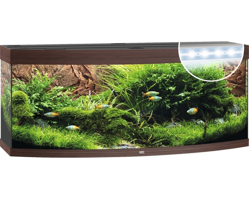 Zařízené akvárium s rybami a rostlinami