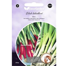 Balení semen pažitky