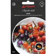 Balení semen Piquant Paprika Chilli Cancun s 12 semeny