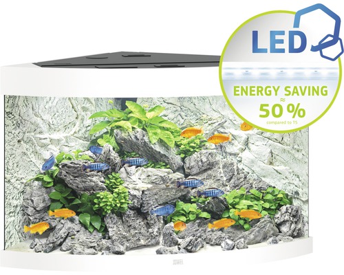 Rohové akvárium s rybami, kameny a rostlinami