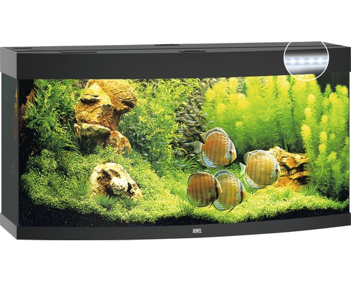 Akvárium zdobené rybami, rostlinami a kameny